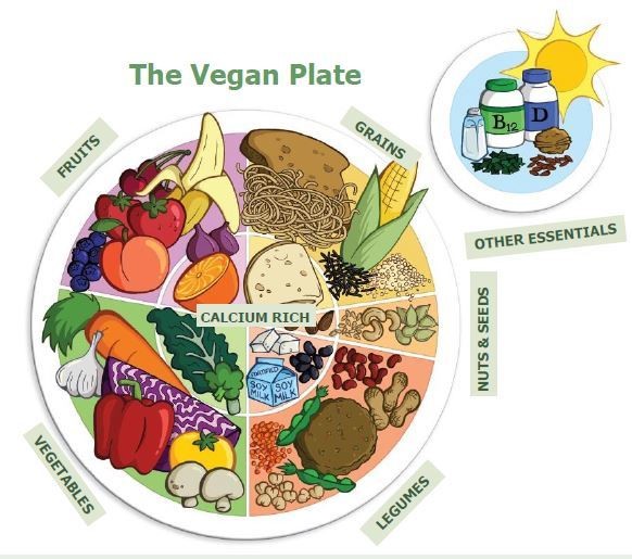 vegan plate