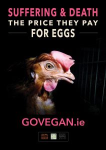 Go Vegan World Campaign - Republic of Ireland