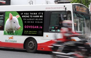 Ad of Go Vegan Campaign Ireland on bus
