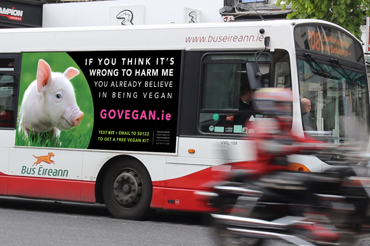 Ad of Go Vegan Campaign Ireland on bus