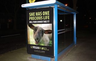 go vegan world campaign poster