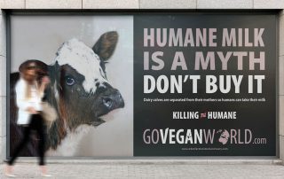 Go Vegan World mockups UK