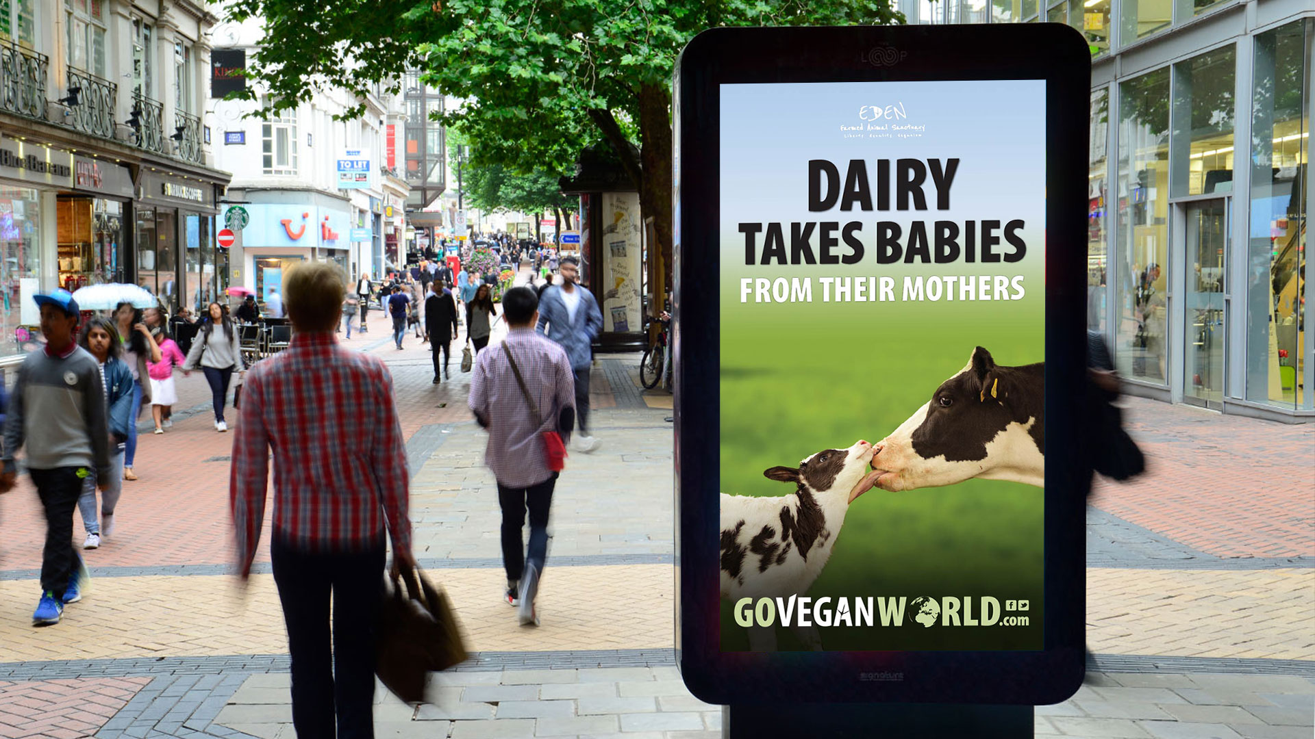 dairy-takes-babies-web