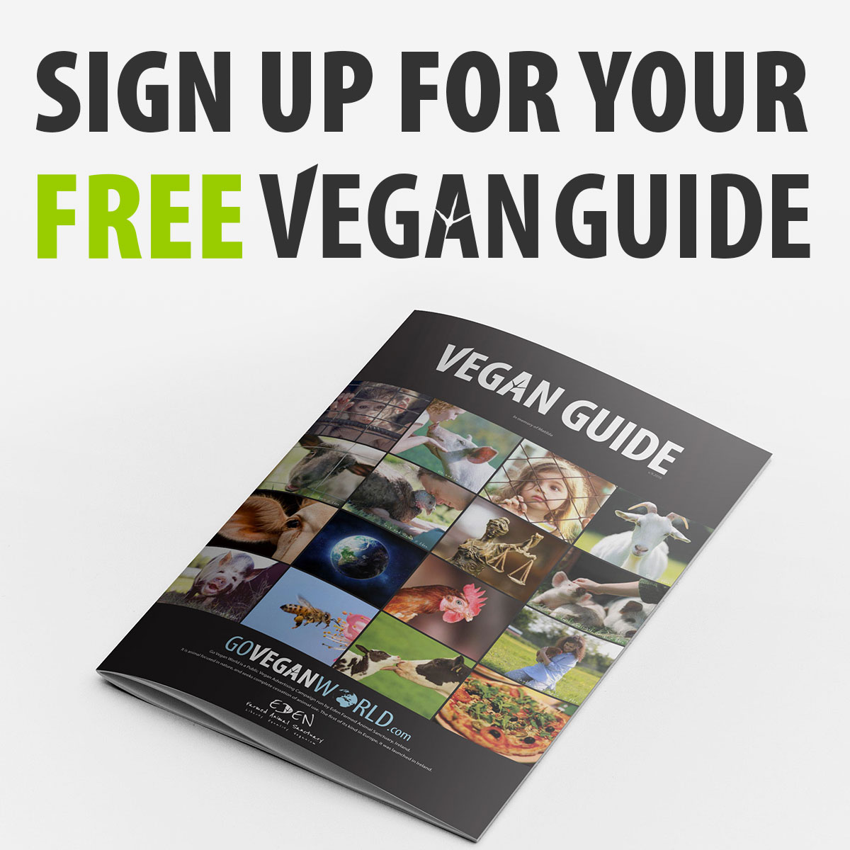 Sign Up for Your FREE Vegan Guide