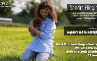 West Midlands Vegan Festival - Sandra Higgins talk on Veganism and animal rights