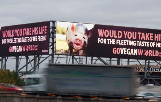 M6 Billboard