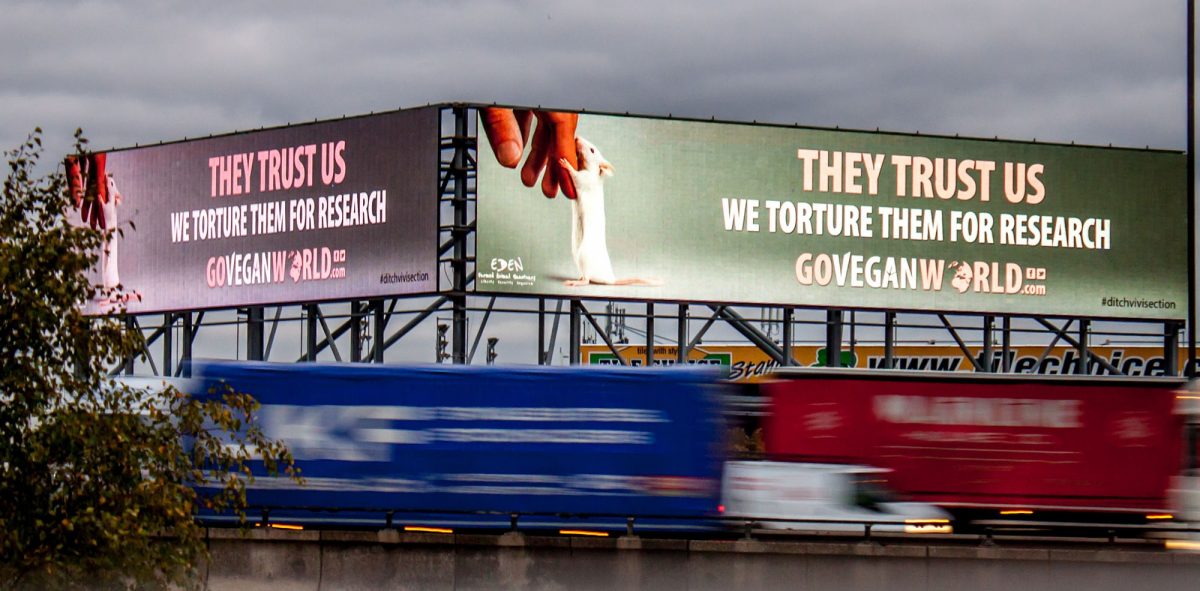 Go Vegan World Vegan Billboard Campaign Birmingham Uk