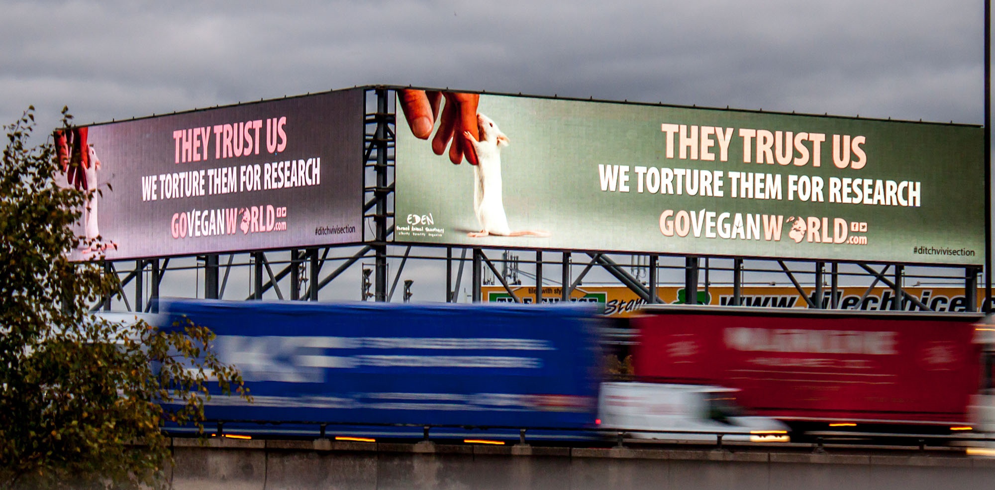 go vegan world billboard campaign-birmingham