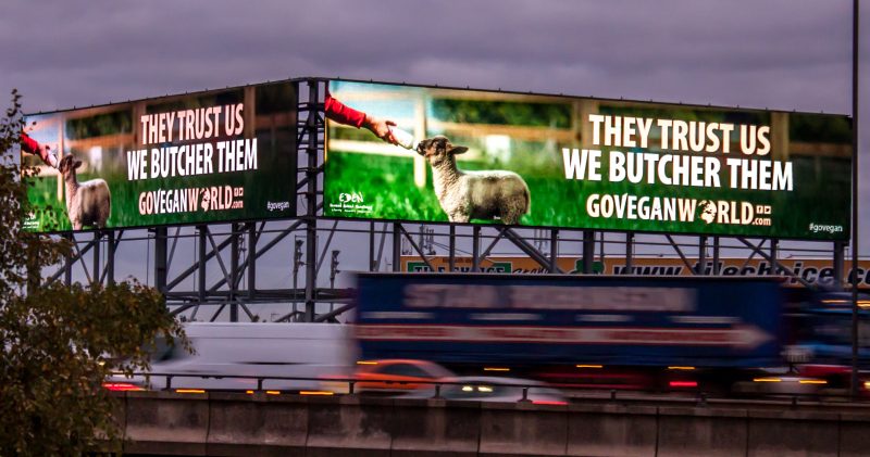 Go Vegan World Vegan Billboard Campaign Birmingham UK