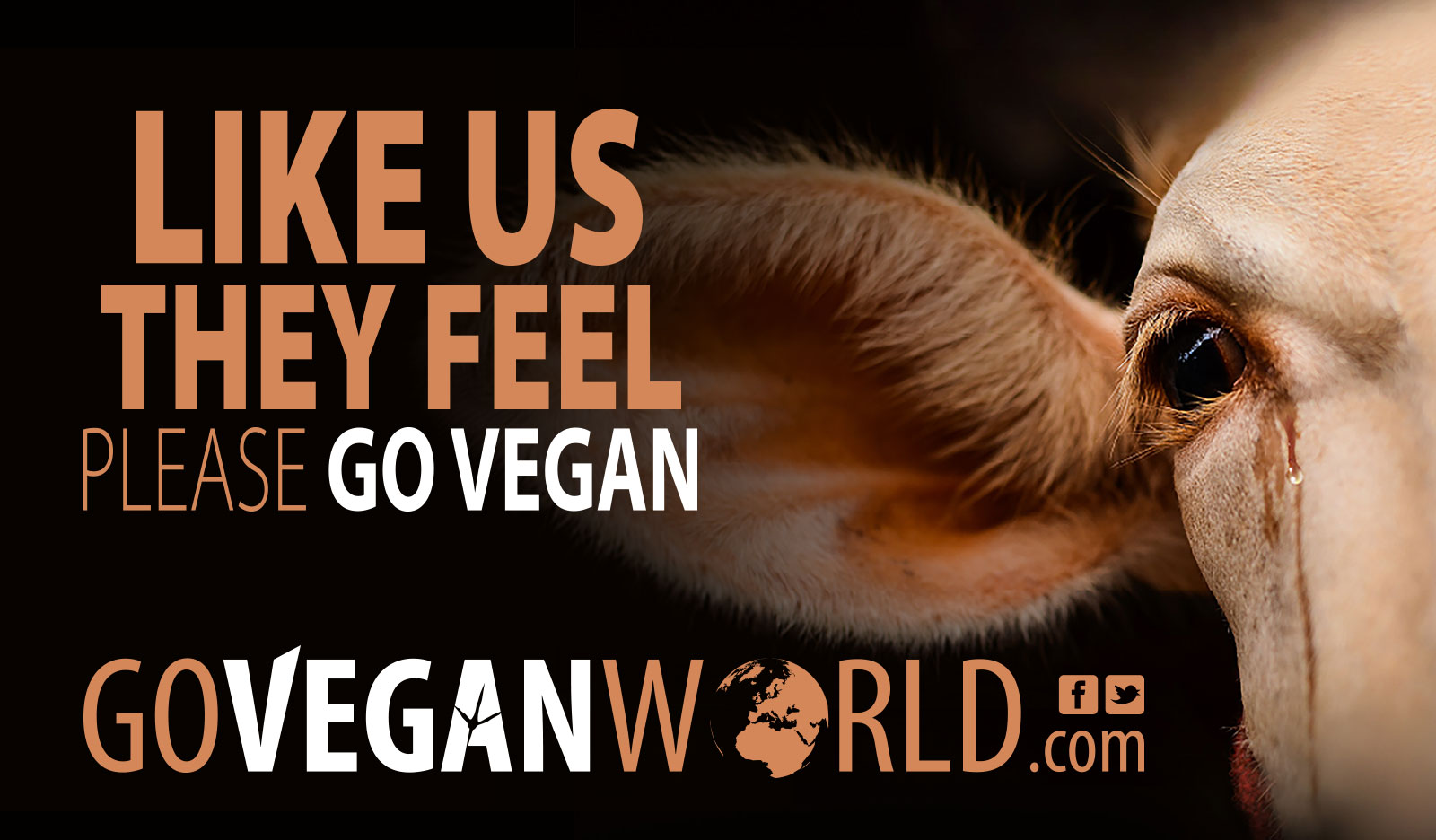 Why Vegans Talk about Veganism and Animal Rights - Go Vegan World