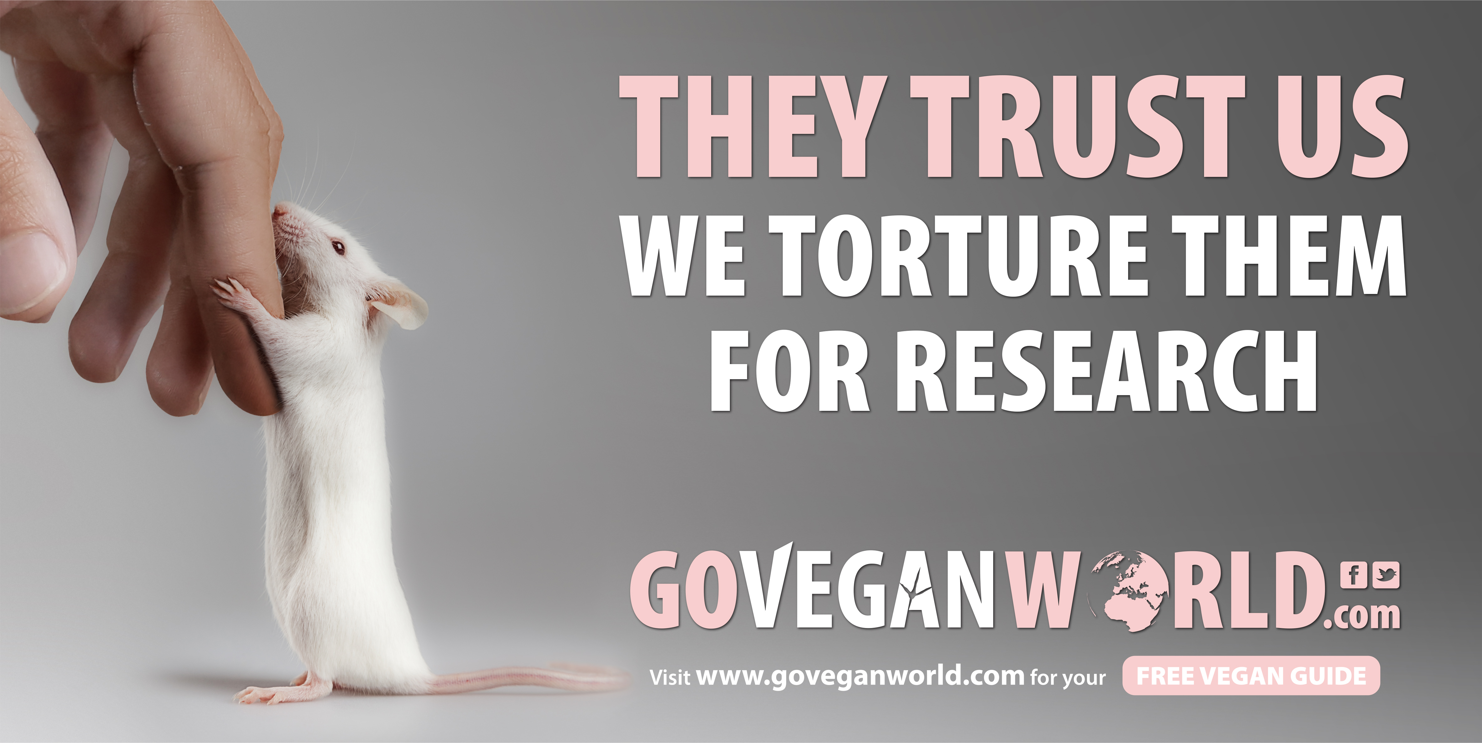 Landmark Ruling for Tortured Laboratory Animals - Go Vegan World