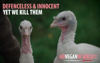 Defenceless and Innocent - Yet we kill them