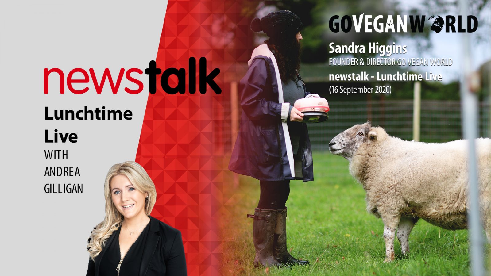 Newstalk - Lunchtine Live September 2020