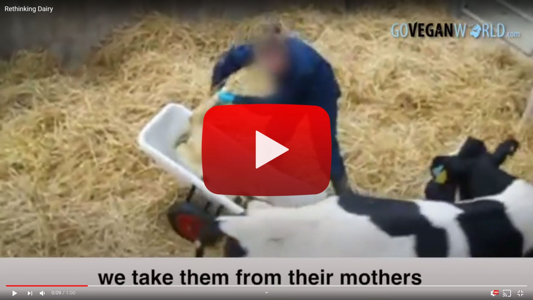 Rethinking Dairy - link to video