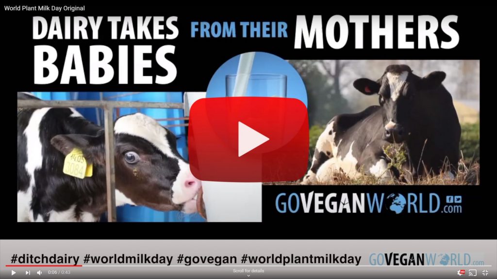 World Plant Milk Day Original - link to video