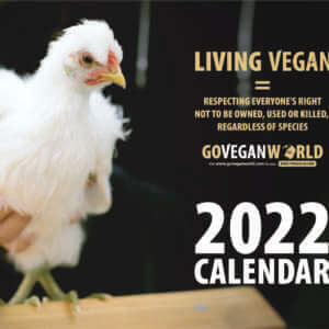 Go Vegan World Calendar 2022 front cover