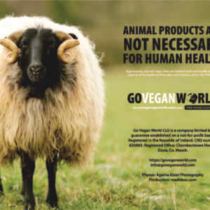 Go Vegan World Calendar 2022 back cover