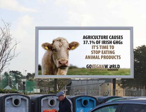 It’s Time To Stop Eating Animal Products: World Vegan Month Campaign 2021