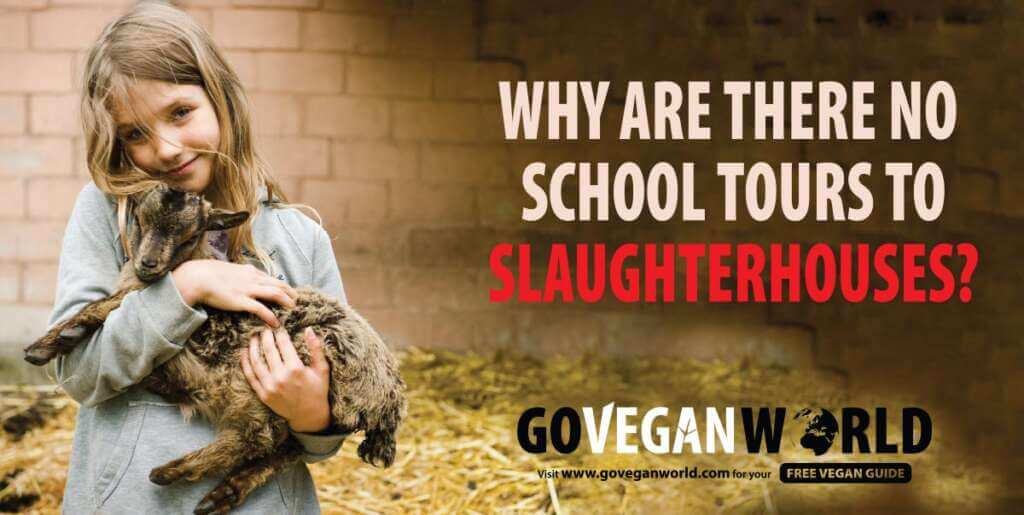 Why Are There No School Tours to Slaughterhouses? Go Vegan World