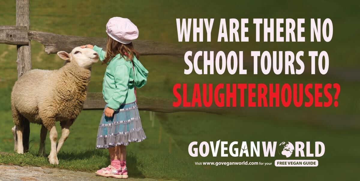 Billboard showing a little girl patting a sheep in sunny day close to the wooden fence with message Why are there no school tours to slaughterhouses