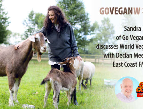 East Coast FM chats with Go Vegan World on World Vegan Day 2022
