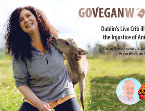 Dublin’s Live Crib: Sandra Higgins (Go Vegan World) discusses the injustice of using animals as entertainment on East Coast FM