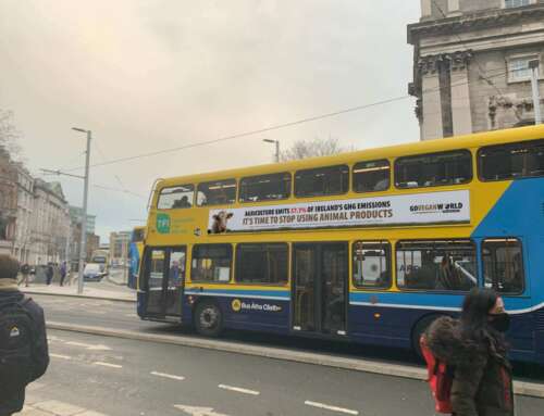 Dublin Bus unjustly accused of ‘thrashing Irish agriculture’ with veganism adverts