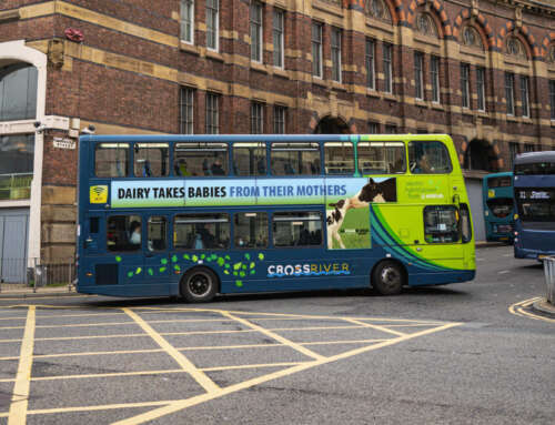 Dairy Takes Babies From Their Mothers: London and Liverpool Campaign