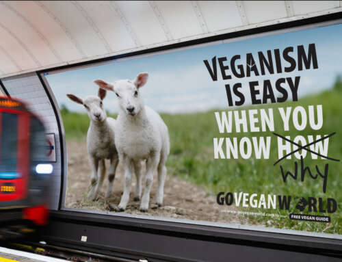 World Vegan Month 2023