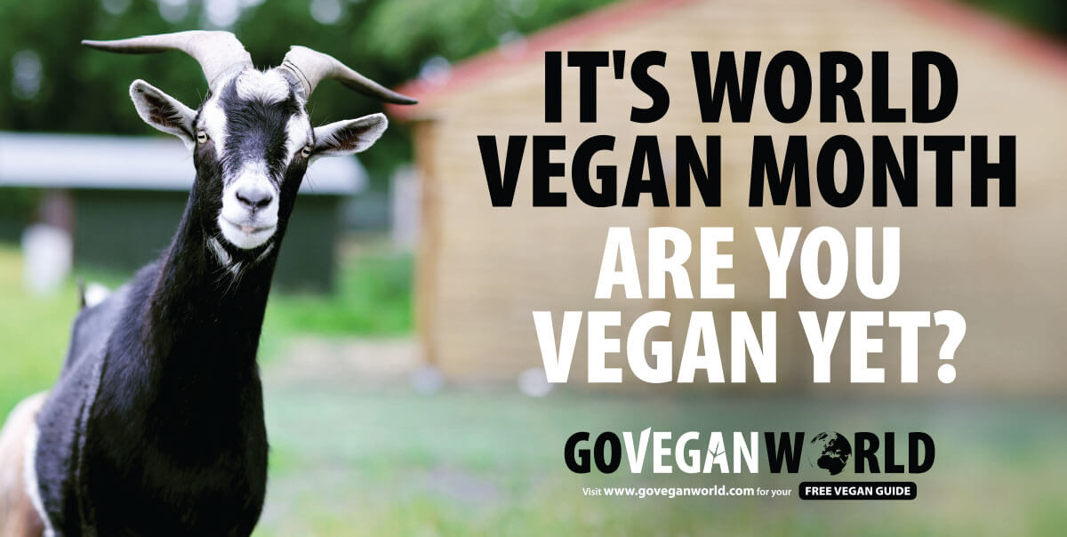 It is Vegan Month. Are you Vegan yet? Go Vegan World!