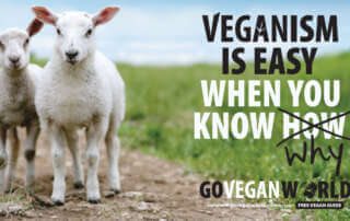 Veganism ius easy when you know why