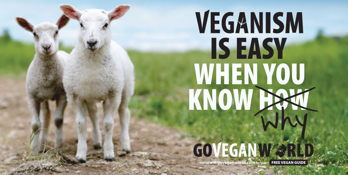 Veganis is Easy when You know why. Go Vegan World!