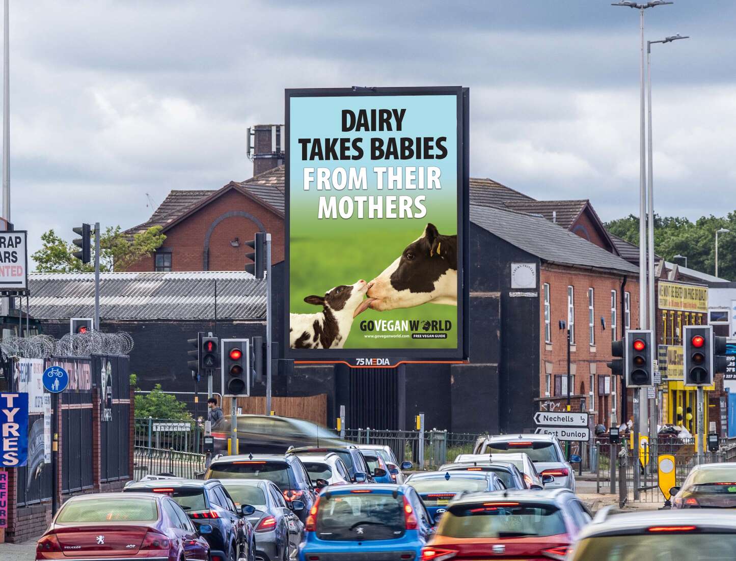 Dairy takes babies from their mothers
