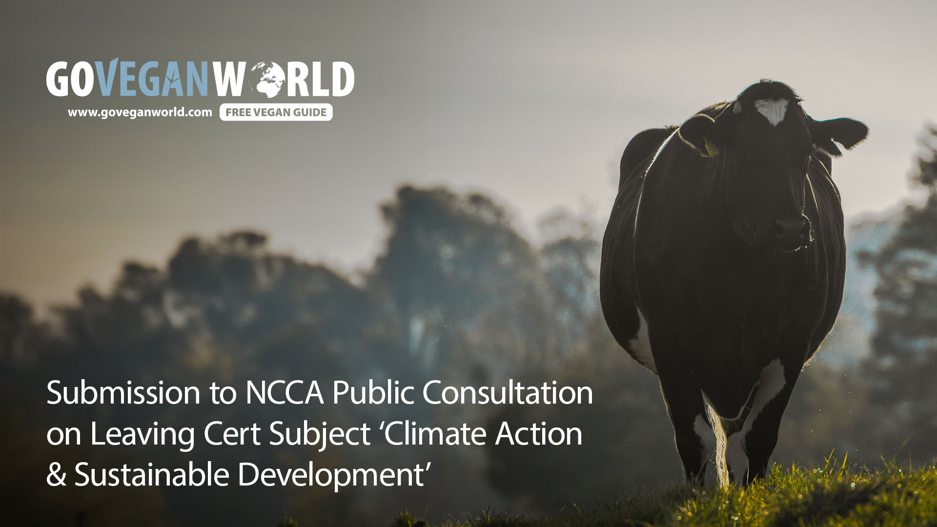 Go Go Vegan World Submission to NCCA Public Consultation on Leaving Cert Subject Climate Action & Sustainable Development