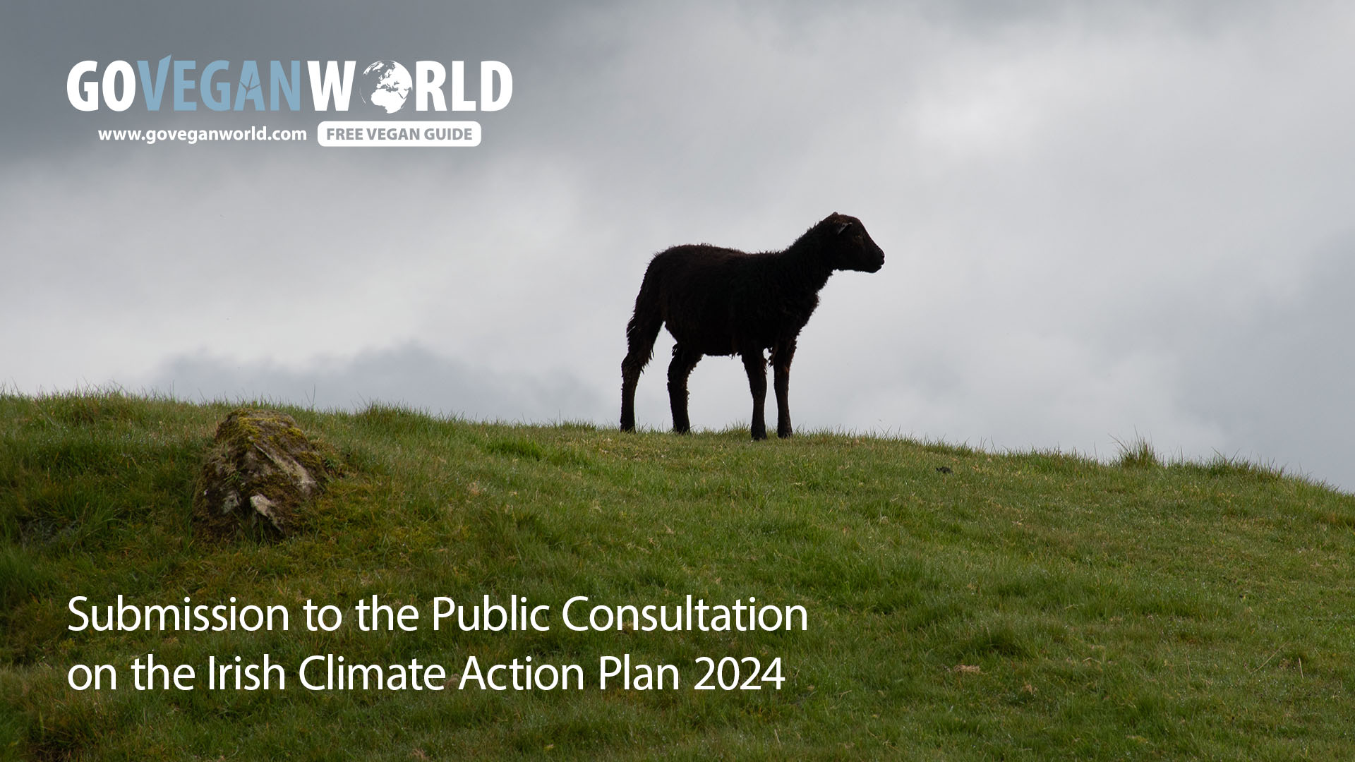 Go Vegan World’s Submission to the Public Consultation on the Irish Climate Action Plan 2024
