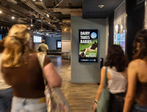 Go Vegan World launches advertising campaign in Universities and Colleges in the UK