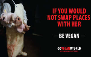 If you would not swap places with her go vegan