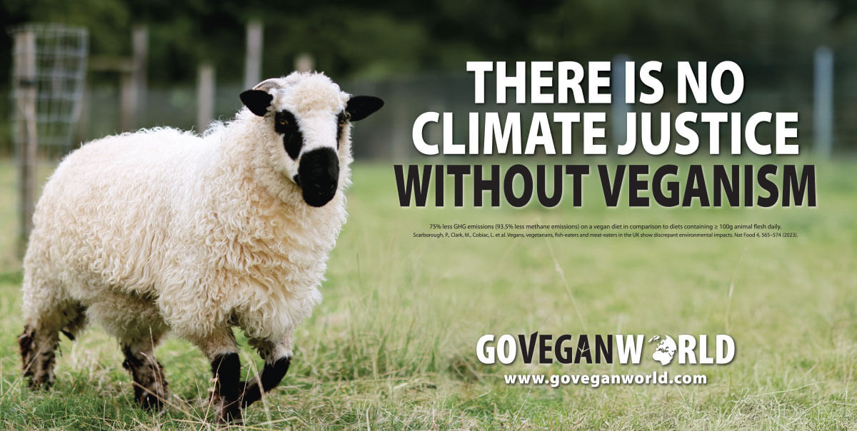 There is no climate justice without veganism