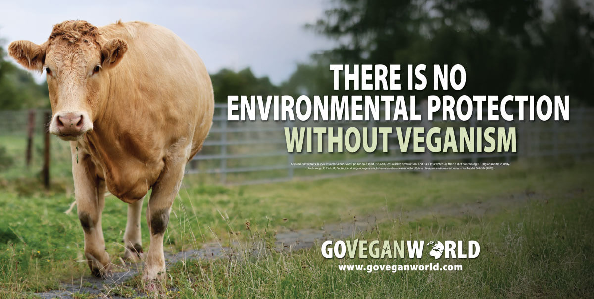 There is no environmental protection without veganism