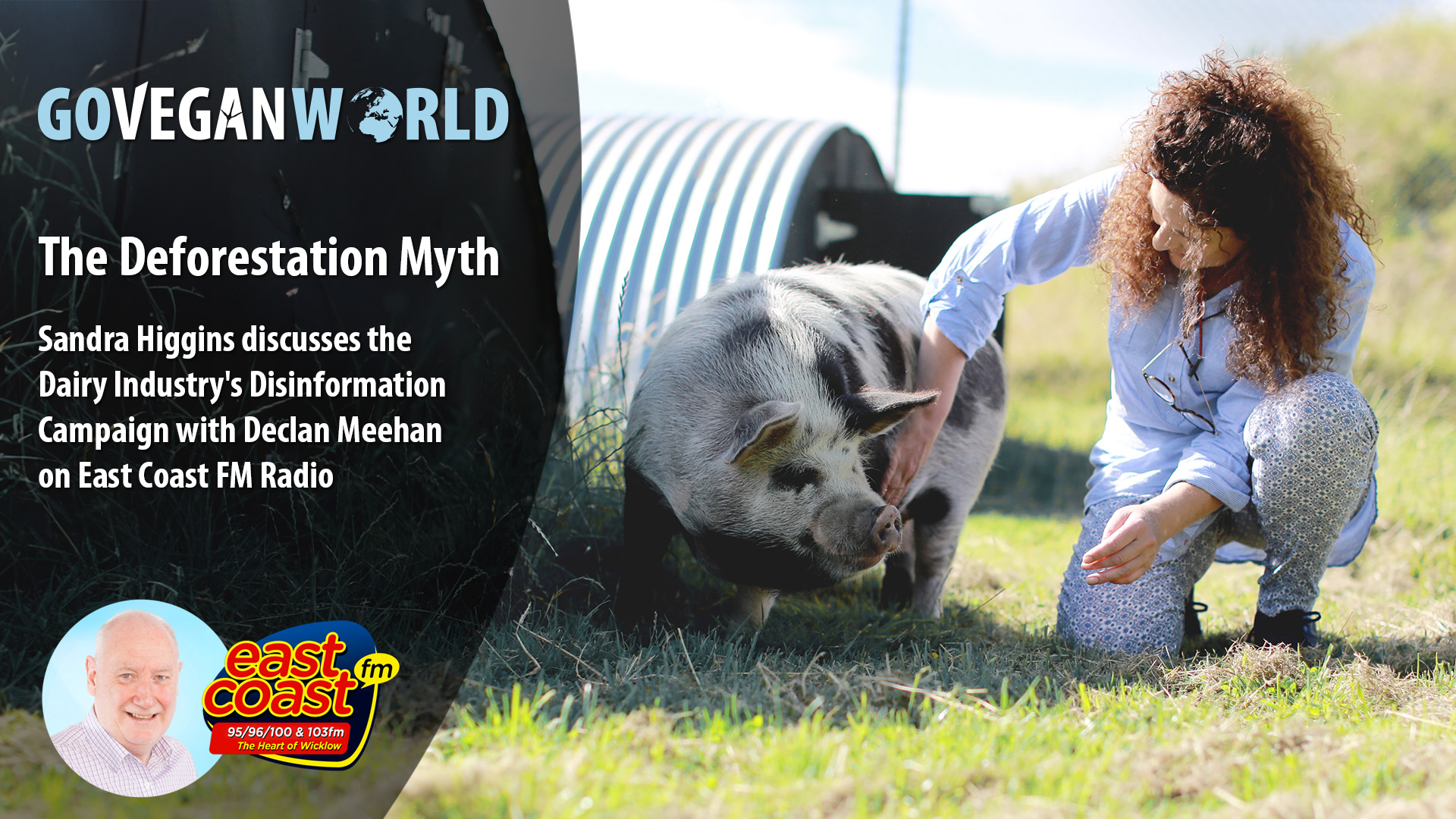 The Deforestation Myth