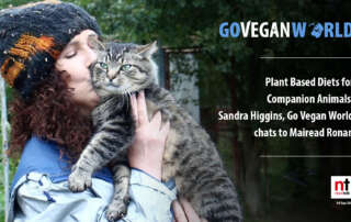 Plant-Based Diets for Companion Animals, Lunchtime Live show, Newstalk Radio