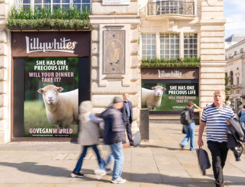 New London Campaign: She has one precious life. Will you take it?