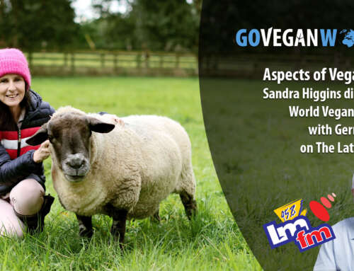 Aspects of Veganism: LMFM Radio
